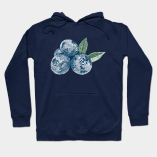 Blueberry Hoodie